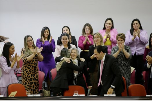 Conselheira Federal da OAB-AP participa do Lançamento da Campanha de combate às violências contra a mulher